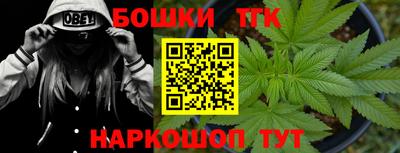 индика Севастополь