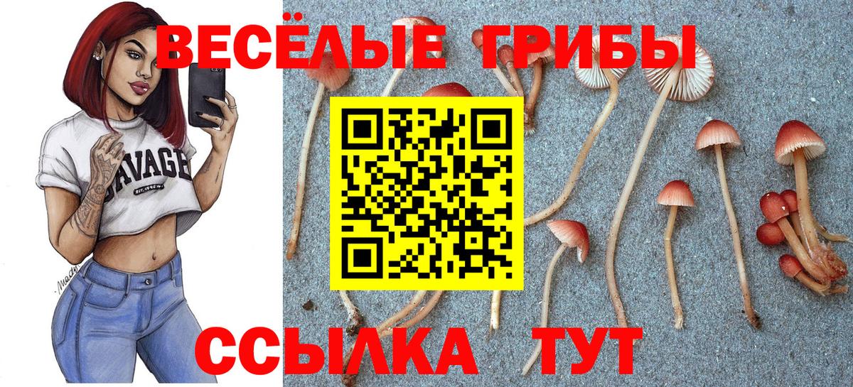 Белогорск  Галлюциногенные грибы прущие грибы  Вход с VPN 